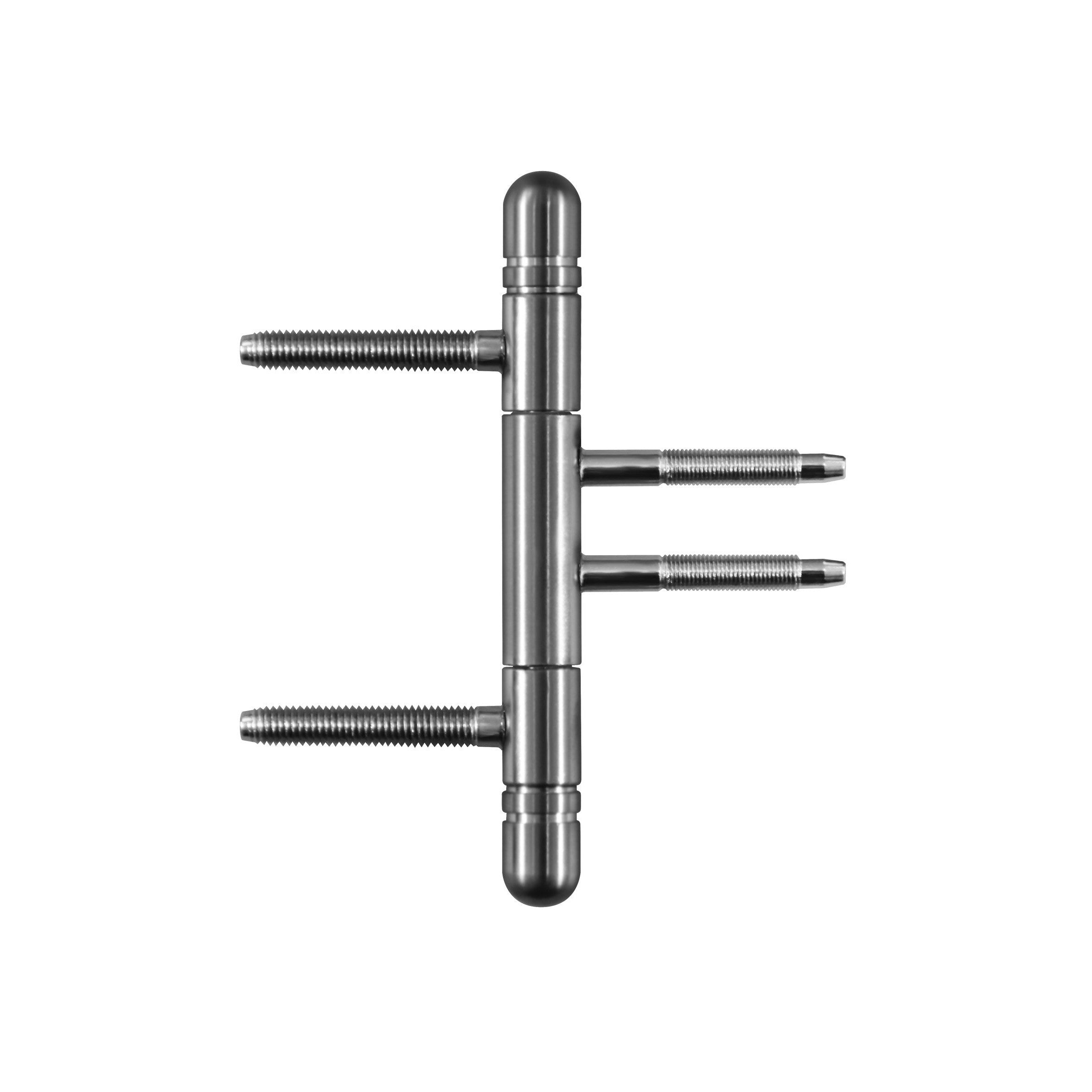 Design Türband inkl. Rahmenteil 3-teilig mit Rundkopf V4426 WF Edelstahloptik