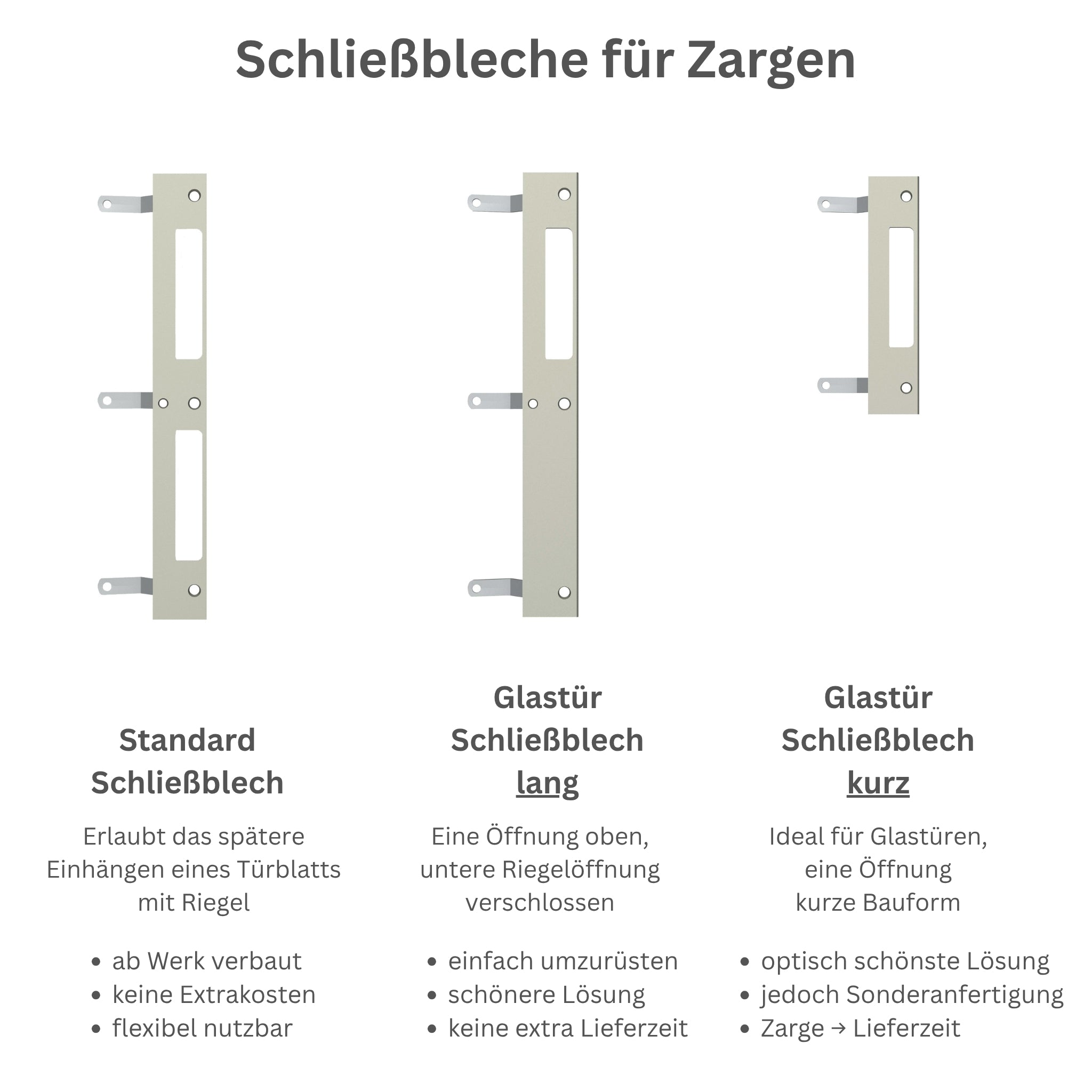 Glastür satiniert / matt