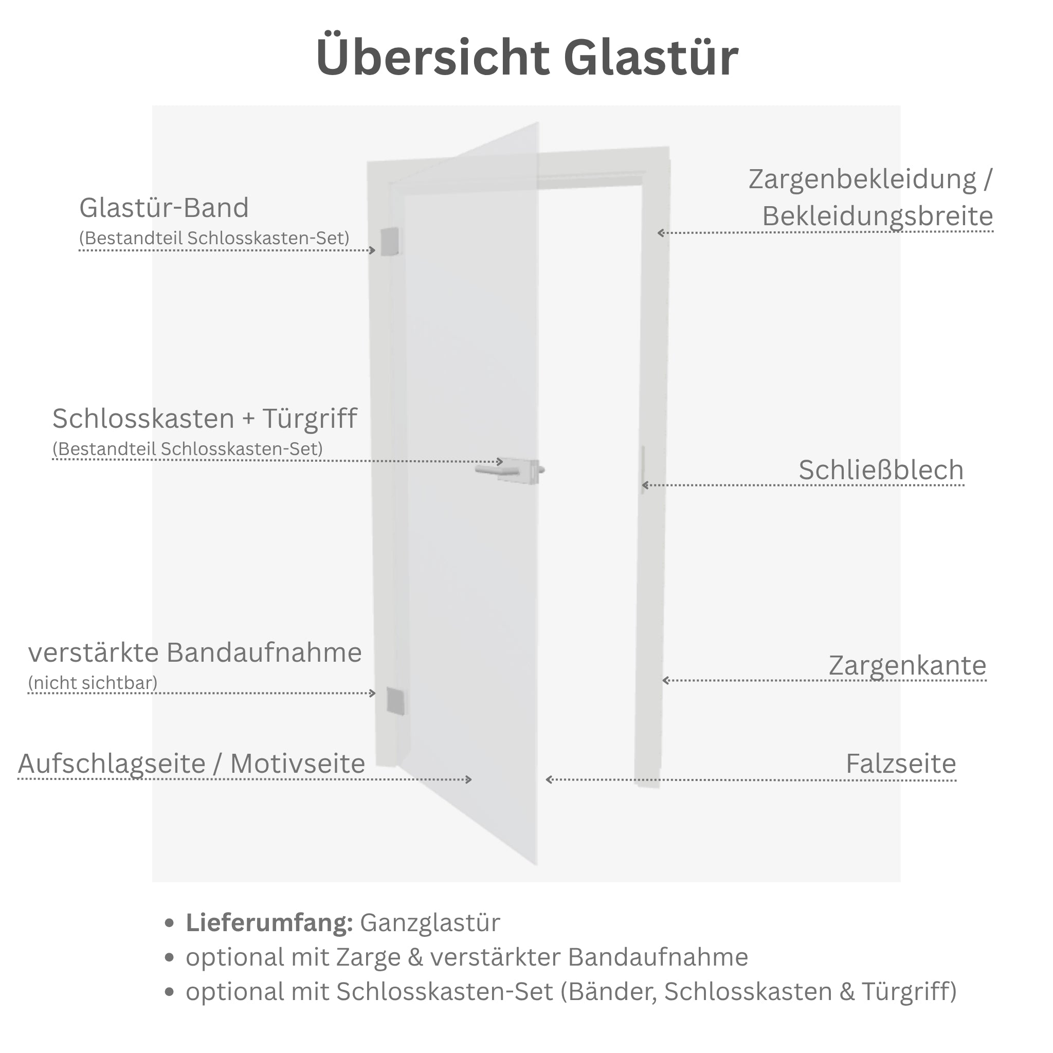 Glastür Loft-Design Modell DS3 satiniert / matt