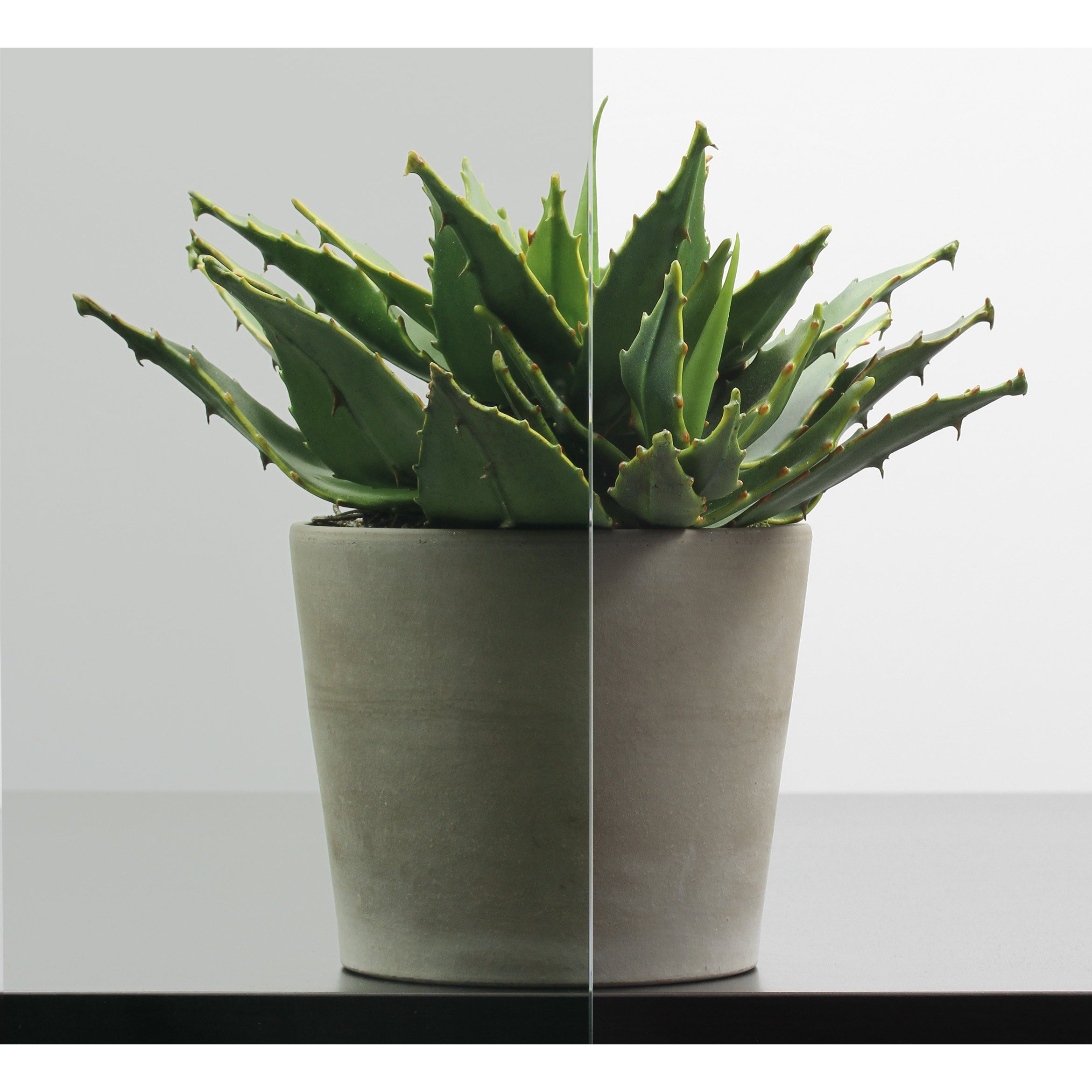 Glaseinsatz ESG für Zimmertüren mit 1 Lichtausschnitt mit Schweifbogen und Sprossenrahmen inkl. Verglasung