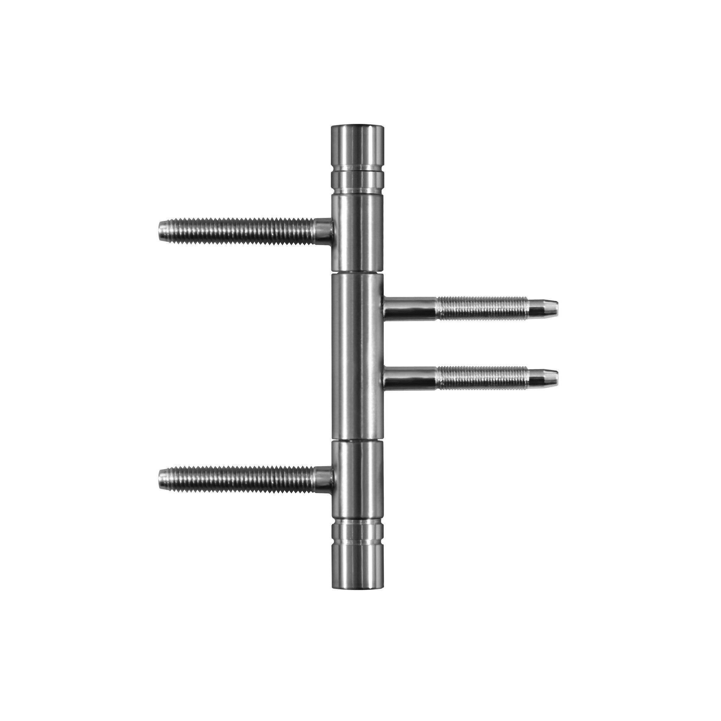 Design Türband inkl. Rahmenteil 3-teilig mit Flachkopf V4426 WF Edelstahloptik